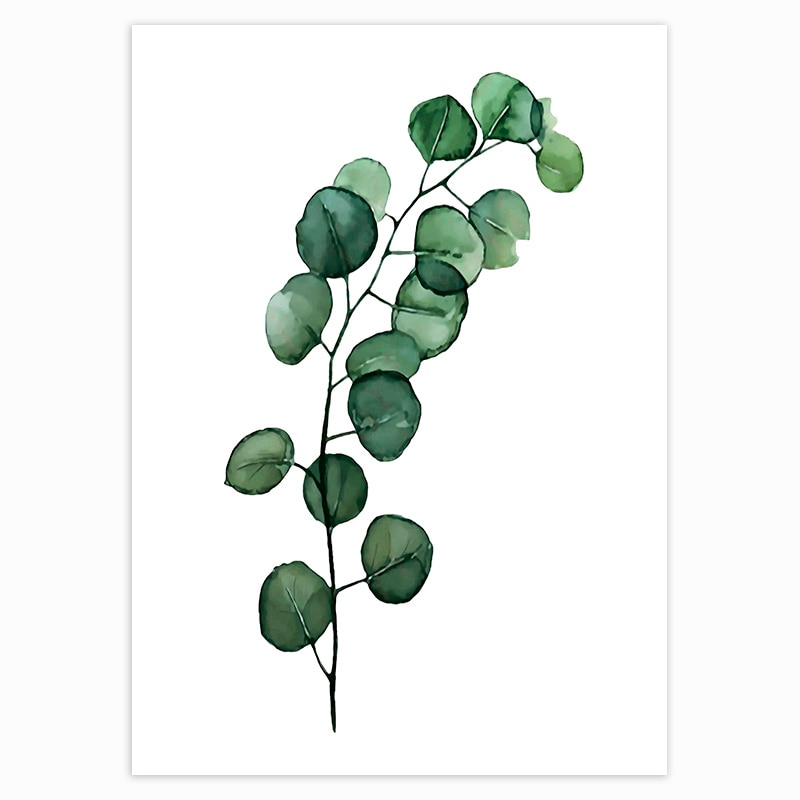 Scandinavian Style Tropical Plants Poster